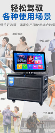 卧式视频音响案例
